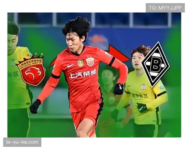 德甲夏窗转会盘点：新星闪耀加盟，老将告别开启新篇章