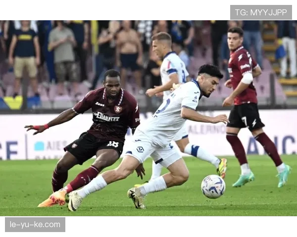 维罗纳战术调整显成效,高效反击助球队斩获关键胜利 维罗纳战术调整显成效,高效反击助球队斩获关键胜利