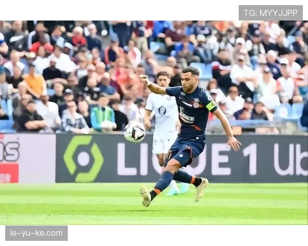 图卢兹战术体系